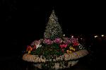 Dcim6698/DSC_4459