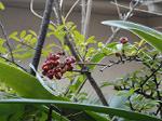 DSC00802