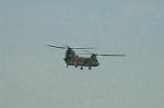 Dcim6705/DSC_4991