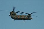 Dcim6705/DSC_4994