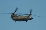 Dcim6705/DSC_4998