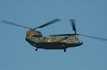 Dcim6705/DSC_4999