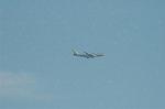 Dcim6705/DSC_5043