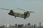 Dcim6705/DSC_5053