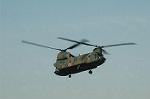 Dcim6706/DSC_5175