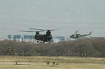 Dcim6706/DSC_5183