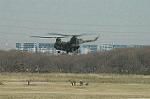 Dcim6706/DSC_5184