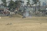 Dcim6707/DSC_5237