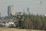 Dcim6707/DSC_5281