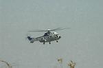 Dcim6709/DSC_5493