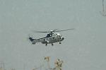 Dcim6709/DSC_5494