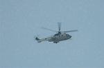 Dcim6709/DSC_5533