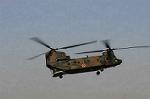 Dcim6711/DSC_5842