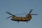 Dcim6712/DSC_6145