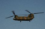 Dcim6712/DSC_6147