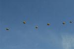 Dcim6713/DSC_5102