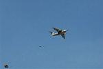 Dcim6713/DSC_5117