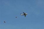 Dcim6713/DSC_5121