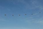 Dcim6713/DSC_5130