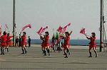 Dcim6715/DSC_5743