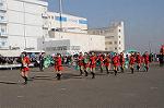 Dcim6716/DSC_6238