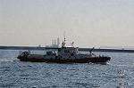 Dcim6718/DSC_6408