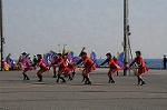 Dcim6718/DSC_6503