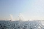 Dcim6719/DSC_6573