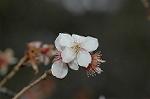 Dcim6741/DSC_6848