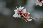 Dcim6741/DSC_6849