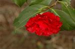 Dcim6741/DSC_6869
