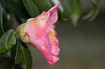 Dcim6741/DSC_6883
