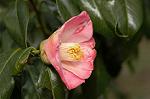 Dcim6741/DSC_6888