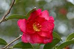 Dcim6741/DSC_6892