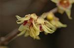 Dcim6741/DSC_6948