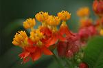 Dcim6743/DSC_6975