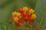 Dcim6743/DSC_6976