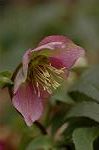 Dcim6743/DSC_7025