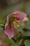 Dcim6743/DSC_7026