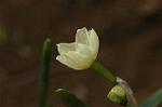 Dcim6743/DSC_7072