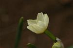 Dcim6743/DSC_7073
