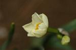 Dcim6743/DSC_7076
