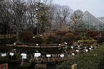Dcim6744/DSC_8554