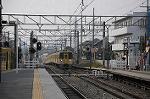 Dcim6744/DSC_8561