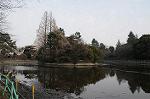 Dcim6744/DSC_8574