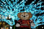 Dcim6762/DSC_0014