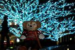 Dcim6762/DSC_0017
