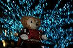 Dcim6762/DSC_0048