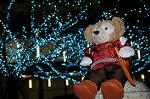 Dcim6762/DSC_0061