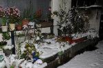 Dcim6763/DSC_0094
